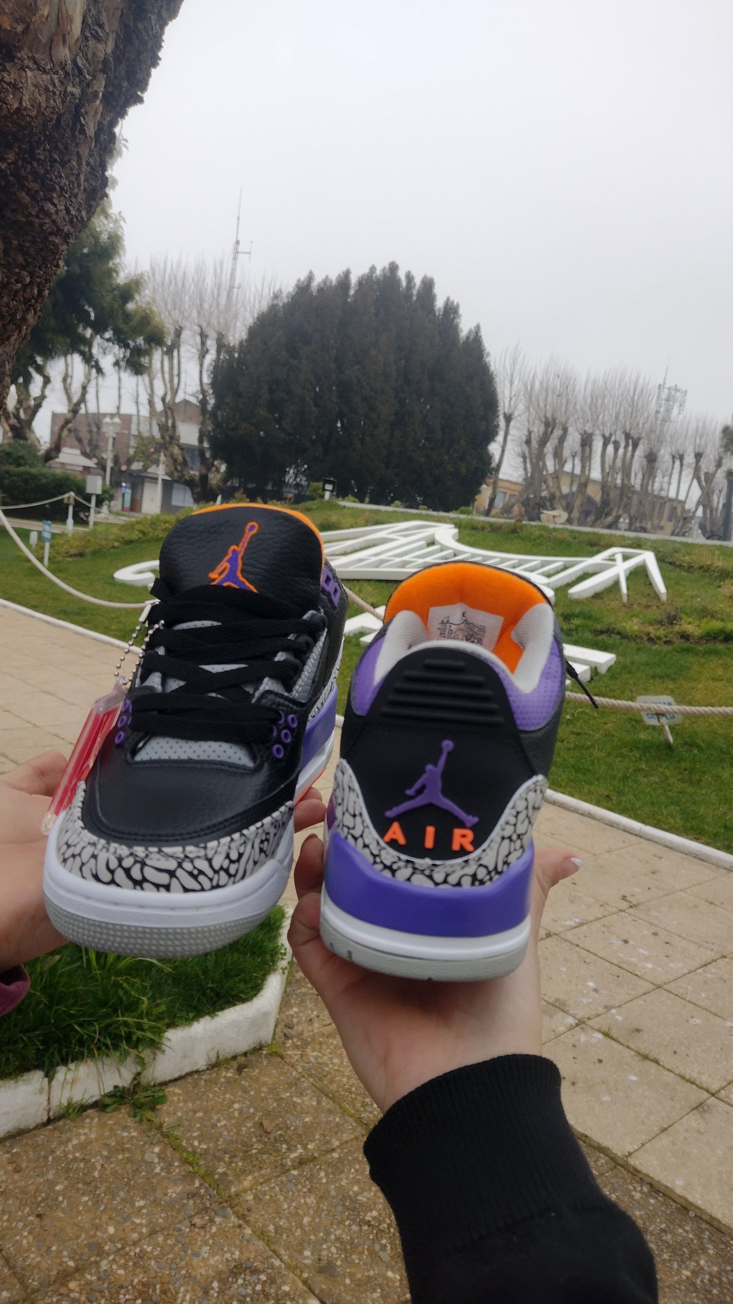 Air Jordan 3 Black Court Purple