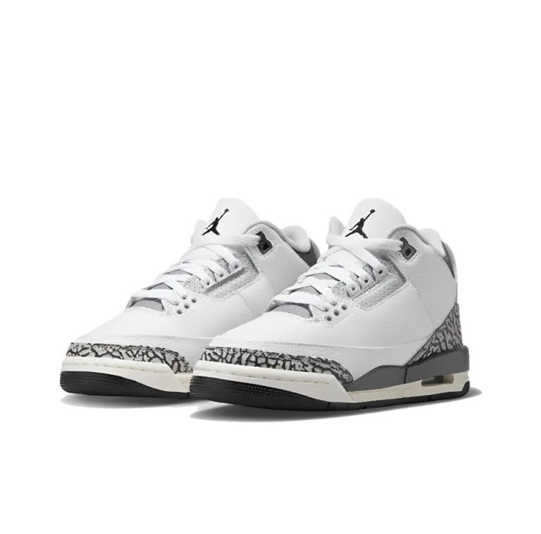 Air Jordan 3 Retro GS Hide N' Sneak