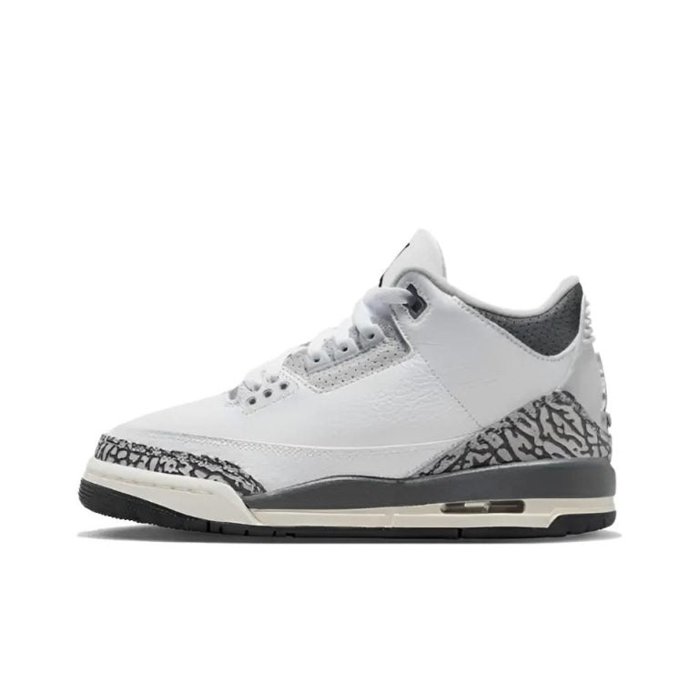 Air Jordan 3 Retro GS Hide N' Sneak